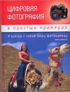 Цифровая фотография в простых примерах Цифровая фотография в простых примерах Биржаков Н.
