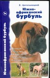 Южноафриканский бурбуль Южноафриканский бурбуль Цигельницкий Е.Г.