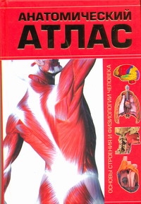 Анатомический атлас. Основы строения и физиологии человека Анатомический атлас. Основы строения и физиологии человека Бориса А. И.