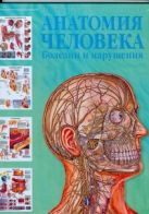 Анатомия человека. Болезни и нарушения Анатомия человека. Болезни и нарушения