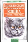 Британская короткошерстная кошка Британская короткошерстная кошка Савенкова В.А.