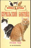 Курильский бобтейл Курильский бобтейл Кочеткова Н.В.