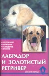 Лабрадор и золотистый ретривер Лабрадор и золотистый ретривер Шлегль-Кофлер К.