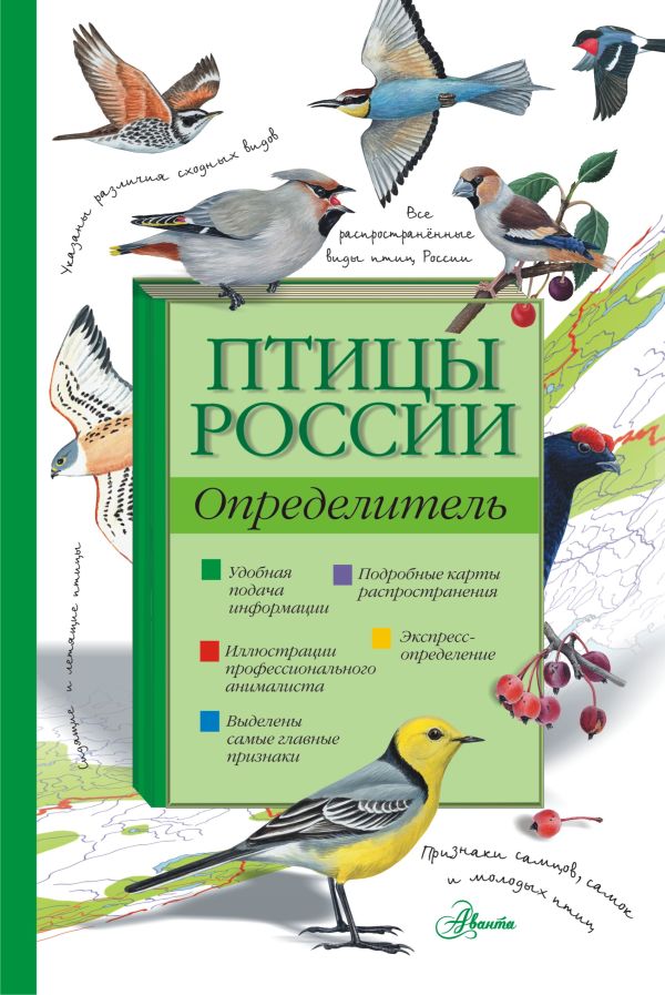 Птицы России. Определитель Птицы России. Определитель Мосалов А.А.