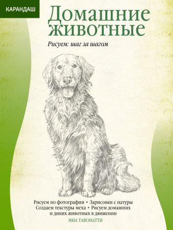 Домашние животные Домашние животные .