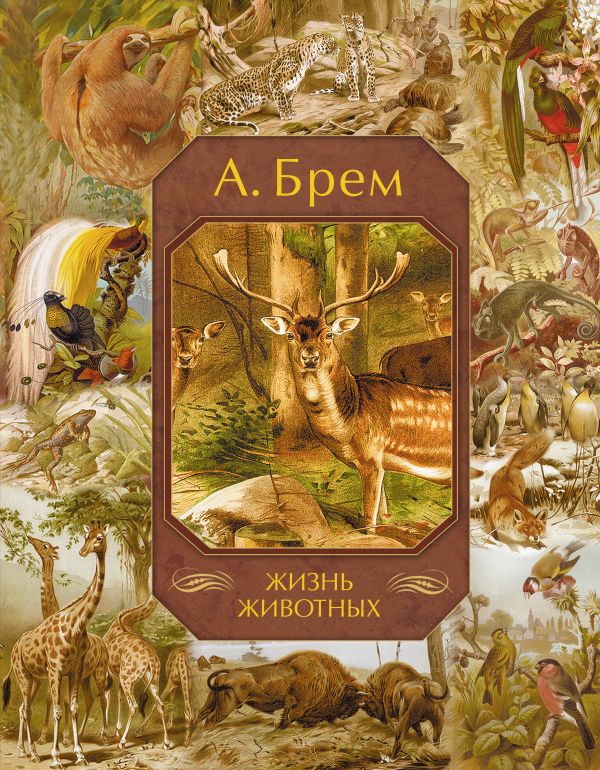 Жизнь животных Жизнь животных Брем А. Э.