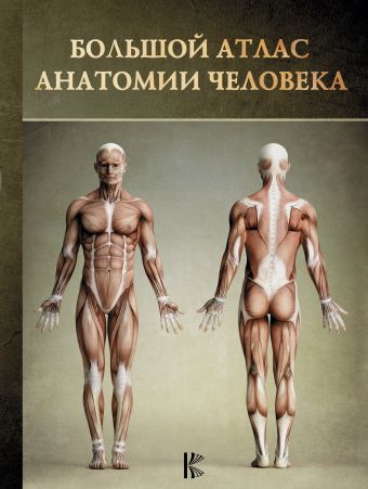 Большой атлас анатомии человека Большой атлас анатомии человека .