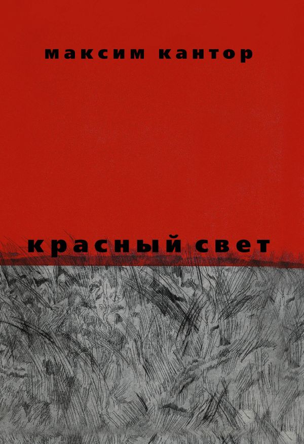 Красный свет Красный свет Кантор М.К.