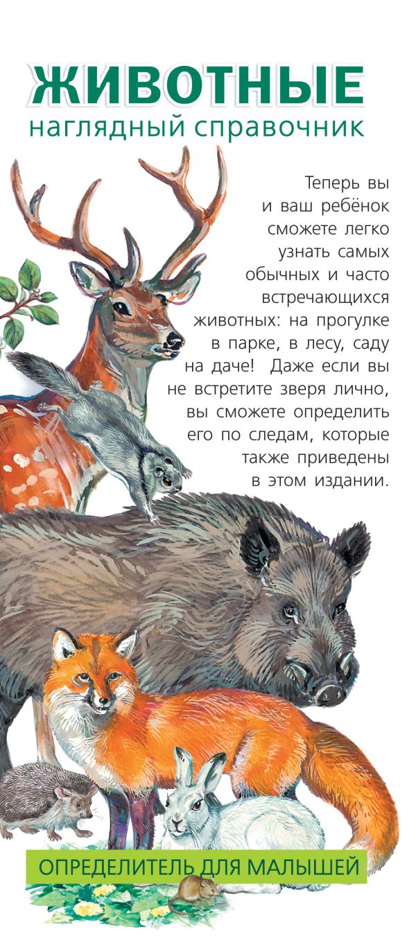 Животные. Определитель для малышей Животные. Определитель для малышей Шелкун Е.В.