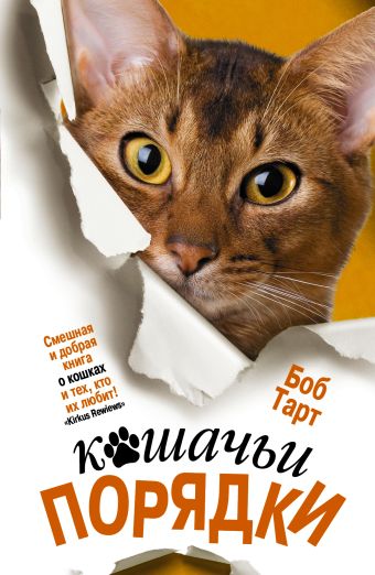 Кошачьи порядки Кошачьи порядки Тарт Б.