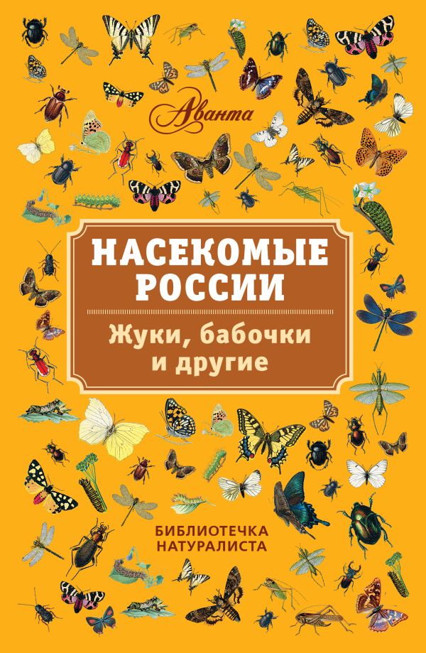 россии жуки фото онлайн россии жуки фото