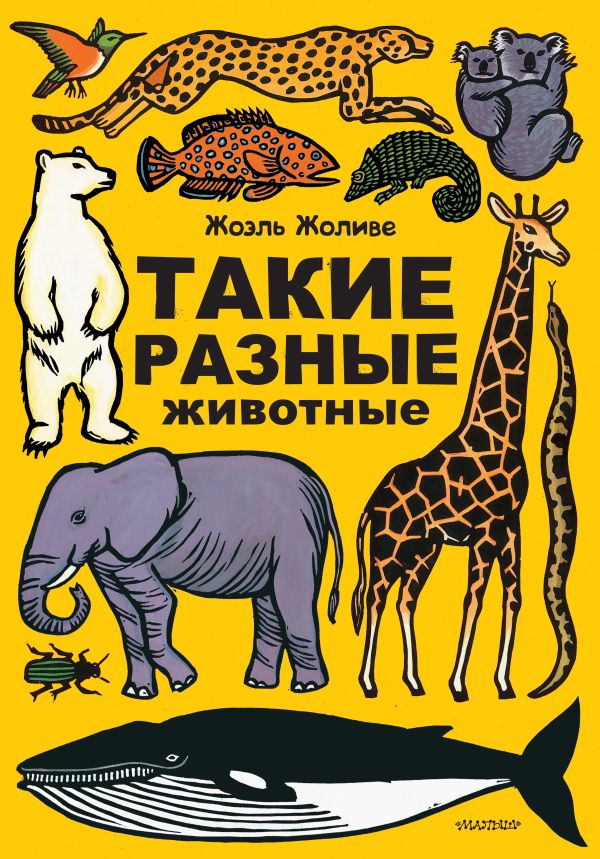 Такие разные животные Такие разные животные .