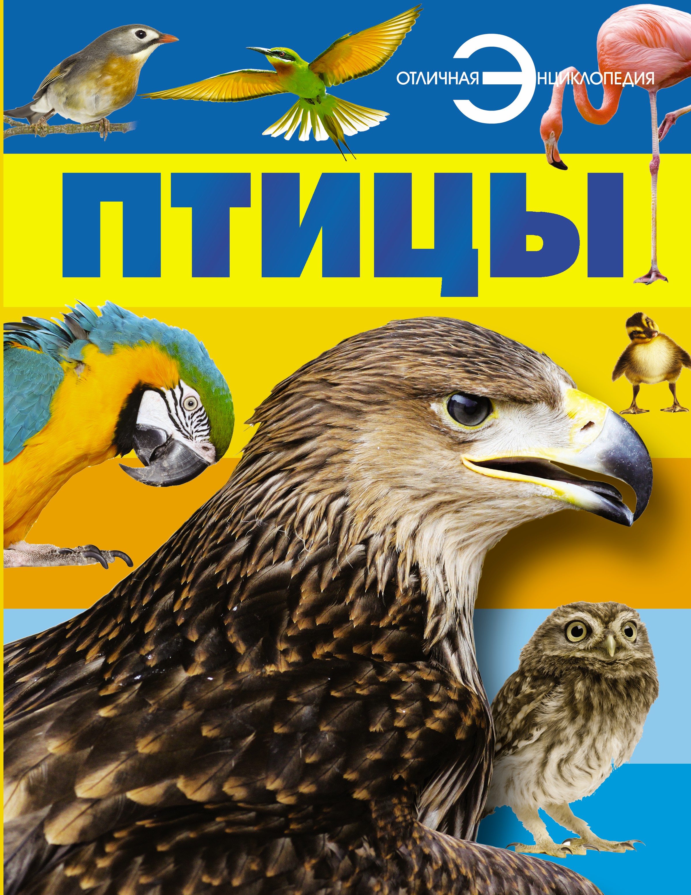 Фото #1: Птицы