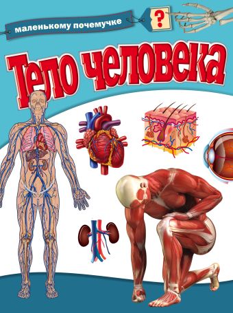 Тело человека Тело человека .