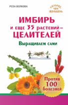 Имбирь и еще 35 растений ЦЕЛИТЕЛЕЙ. Выращиваем сами. Против 100 болезней Имбирь и еще 35 растений ЦЕЛИТЕЛЕЙ. Выращиваем сами. Против 100 болезней