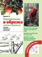 Формирование и обрезка садовых деревьев Формирование и обрезка садовых деревьев