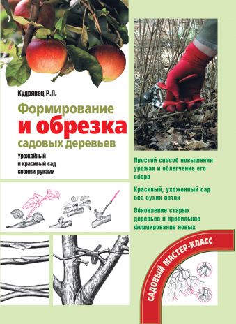 Формирование и обрезка садовых деревьев Формирование и обрезка садовых деревьев Кудрявец Р.П.