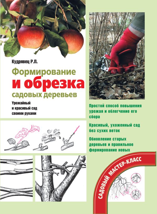 Формирование и обрезка садовых деревьев Формирование и обрезка садовых деревьев Кудрявец Р.П.