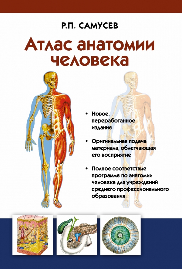 Атлас анатомии человека. Учебное пособие для студентов учреждений среднего профессионального образования Атлас анатомии человека. Учебное пособие для студентов учреждений среднего профессионального образования Самусев Р.П.