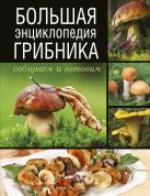 Большая энциклопедия грибника. Собираем и готовим. Большая энциклопедия грибника. Собираем и готовим.
