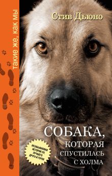 Дьюно Стив - Собака, которая спустилась с холма. Незабываемая история Лу, лучшего друга и героя обложка книги Дьюно Стив - Собака, которая спустилась с холма. Незабываемая история Лу, лучшего друга и героя обложка книги