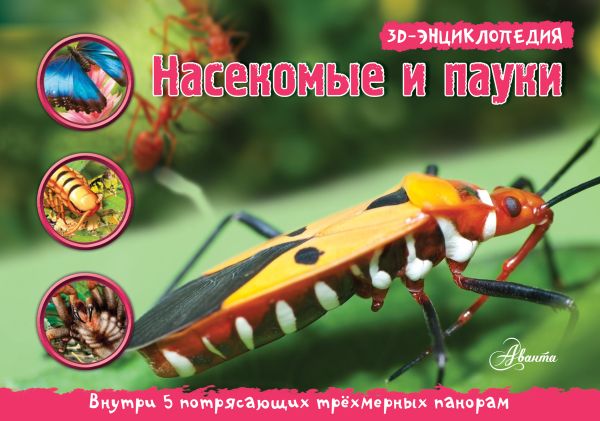 Насекомые, пауки, многоножки. 3D панорама Насекомые, пауки, многоножки. 3D панорама Кульнева М.Л.