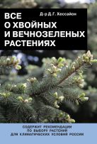 Все о хвойных и вечнозеленых растениях Все о хвойных и вечнозеленых растениях