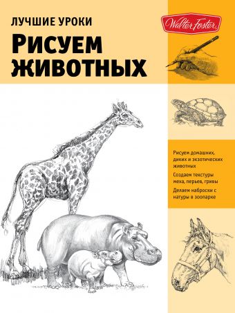 Рисуем животных Рисуем животных Степанова Л.И.