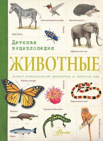 Животные. Детская энциклопедия Животные. Детская энциклопедия .