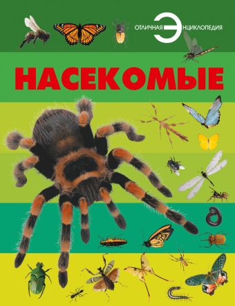 Насекомые Насекомые Спектор А.А.