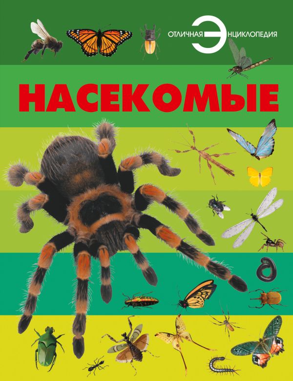 Насекомые Насекомые Спектор А.А.