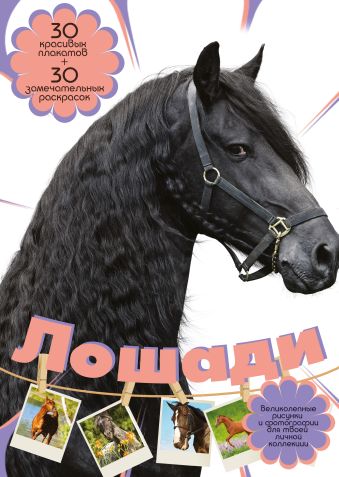 Лошади Лошади Торманова А.С.