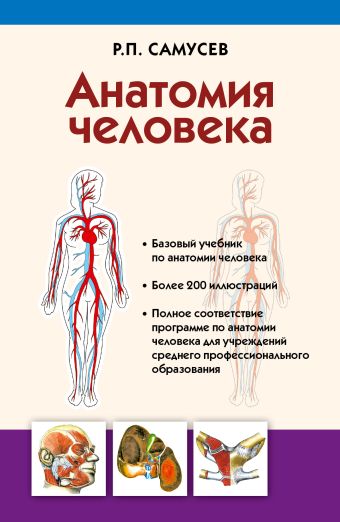 Анатомия человека. Учебник для студентов учреждений среднего профессионального образования Анатомия человека. Учебник для студентов учреждений среднего профессионального образования Самусев Р.П.