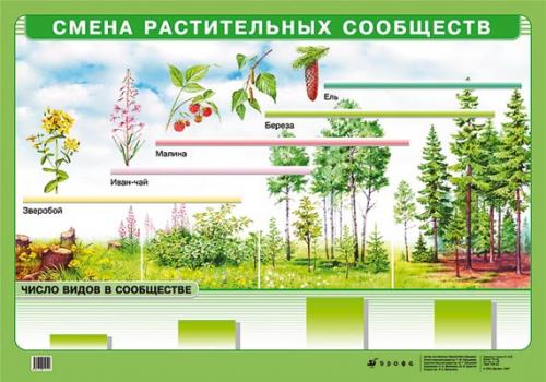 Смена растительных сообществ.(картон) Смена растительных сообществ.(картон) Чернов И.Ю.