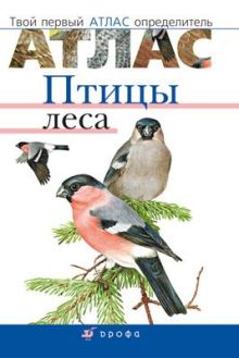 Бровкина Е.Т., Сонин Н.И - Птицы леса. Твой первый атлас-определитель. 5–9 классы. Атлас-определитель обложка книги Бровкина Е.Т., Сонин Н.И - Птицы леса. Твой первый атлас-определитель. 5–9 классы. Атлас-определитель обложка книги