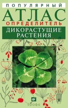 Новиков В.С., Губанов И.А. - Дикорастущие растения.Попул.атлас-определитель обложка книги Новиков В.С., Губанов И.А. - Дикорастущие растения.Попул.атлас-определитель обложка книги