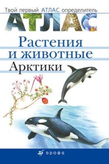 Овсянникова Е.В. - Животные и растения Арктики. Твой первый атлас-определитель. обложка книги Овсянникова Е.В. - Животные и растения Арктики. Твой первый атлас-определитель. обложка книги