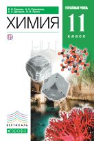 Химия. Углубленный уровень. 11 класс. Учебник Химия. Углубленный уровень. 11 класс. Учебник