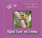 Простые истины: слова мудрости и вдохновения. Подарочное издание Простые истины: слова мудрости и вдохновения. Подарочное издание