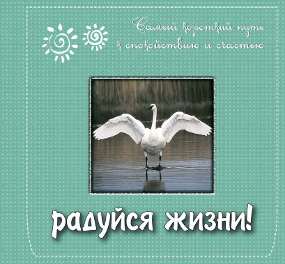 Обложка Радуйся жизни! Самый короткий путь к спокойствию и счастью. Подарочное издание <не Указано>