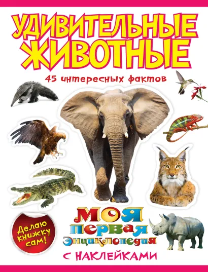 Обложка Удивительные животные