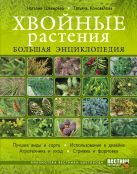 Хвойные растения. Большая энциклопедия Хвойные растения. Большая энциклопедия