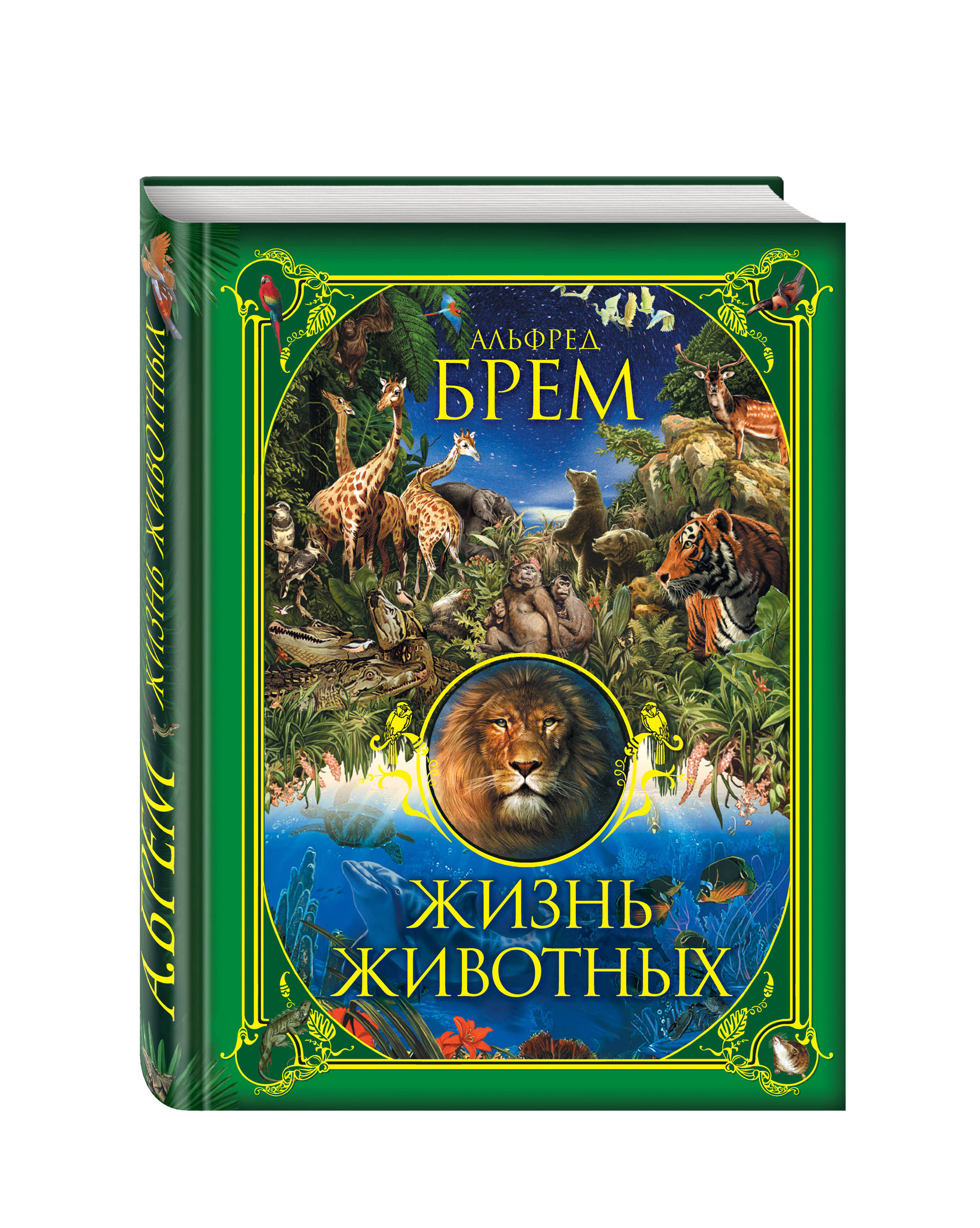 Другие виды животных Другие виды животных