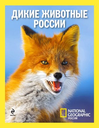 Дикие животные России Дикие животные России