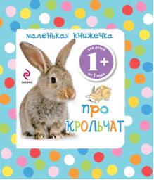 Обложка 1+ Маленькая книжечка про крольчат 