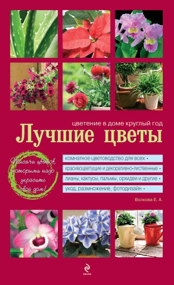 Лучшие цветы. Цветение в доме круглый год (красная обложка) Лучшие цветы. Цветение в доме круглый год (красная обложка) Волкова Е.А.