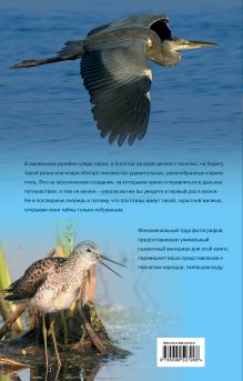 Обложка сзади Птицы. Водоплавающие и околоводные Ксения Митителло
