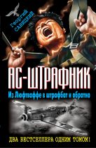 Ас-штрафник. Из Люфтваффе в штрафбат и обратно Ас-штрафник. Из Люфтваффе в штрафбат и обратно