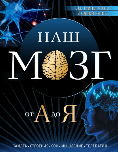 Обложка Наш мозг от А до Я Андрей Дианов
