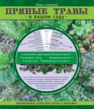 Пряные травы в вашем саду (Садовые шпаргалки) Пряные травы в вашем саду (Садовые шпаргалки)